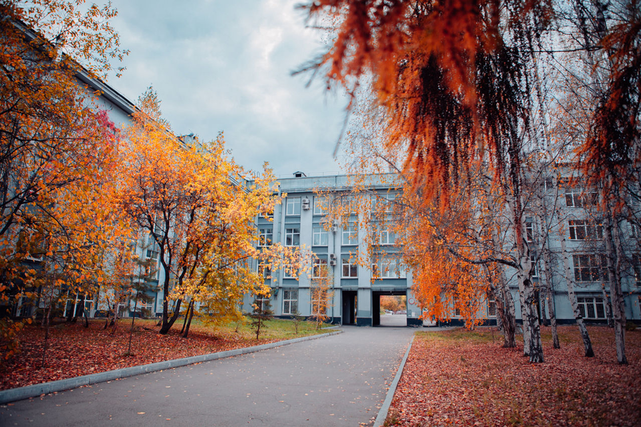 Двенадцатое фото