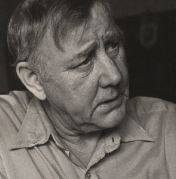 Владимир Петрович Шаес